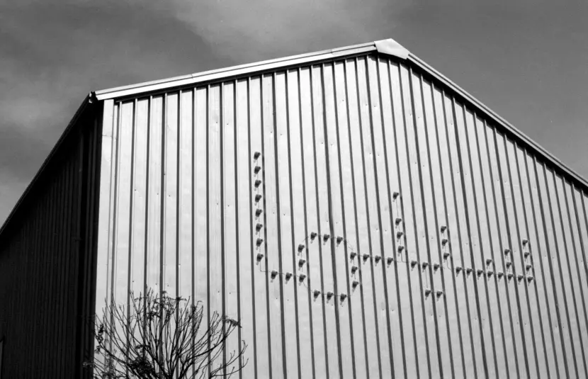 الملف الرابع | المحليات واللامحليات: طمأنينة اللااستقرار